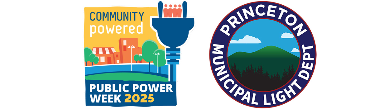 The Economic Benefits of Municipal Light Plants graphic