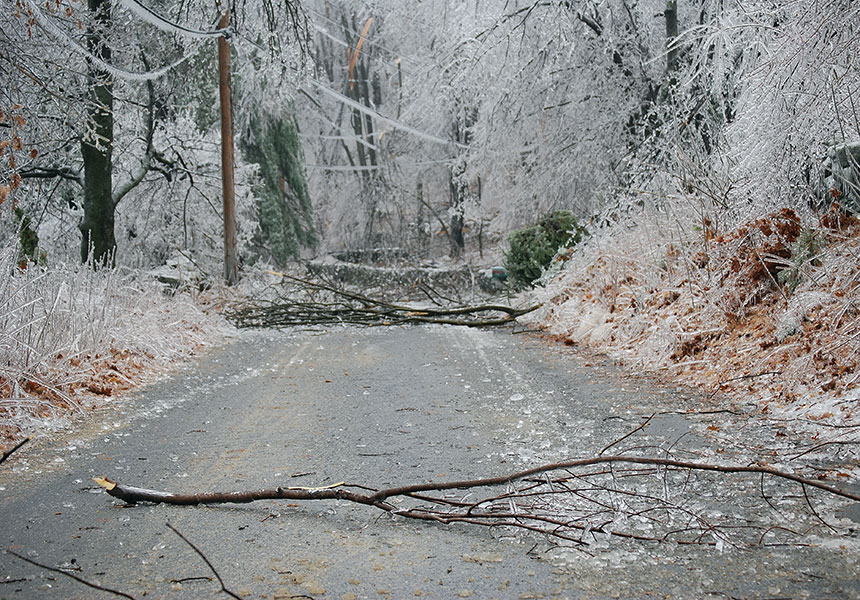 2008 ice storm limbs over road